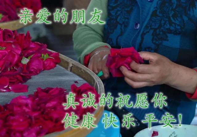 任夏；回忆中拥抱，希望给你周末带来好的心情，早上好