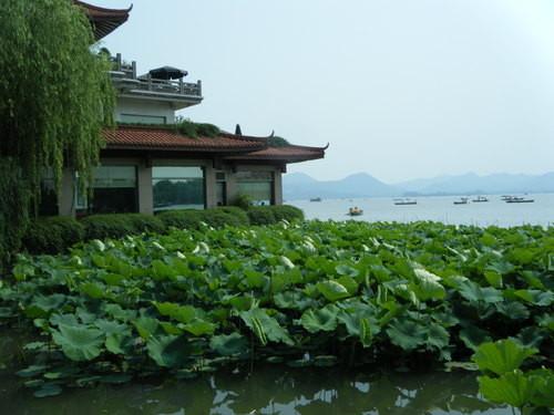 做人要懂得感恩，经典语录