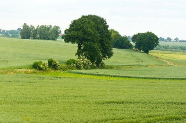 2019高考励志语录，句句简短霸气