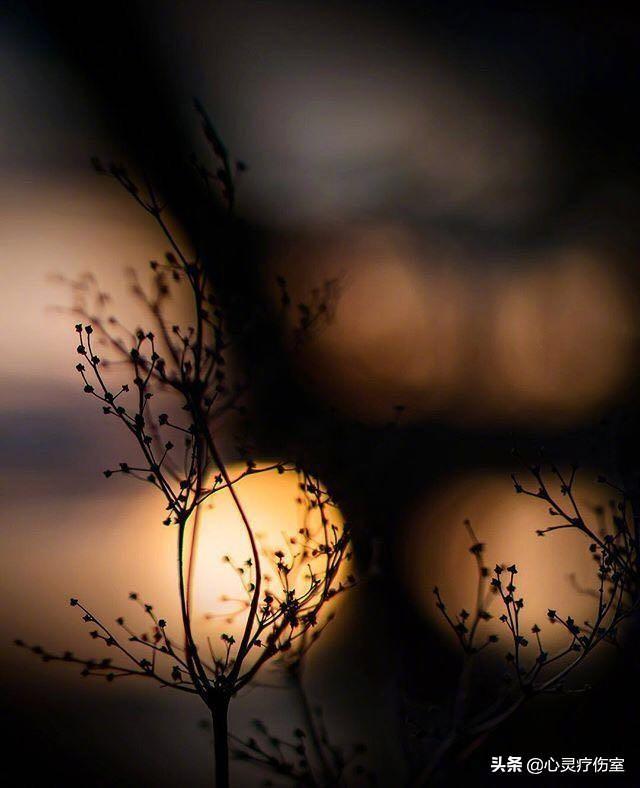 十二星座专属霸气句子