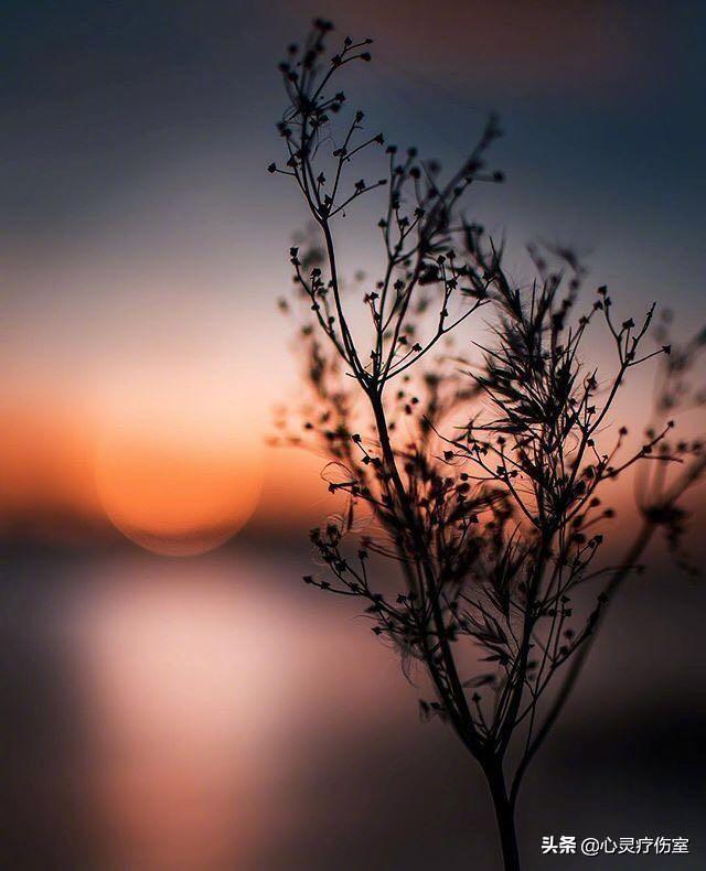 十二星座专属霸气句子