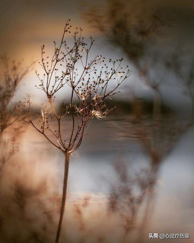 十二星座专属霸气句子