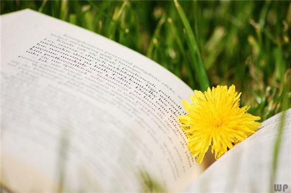 发朋友圈的精美短句子，句句深刻走心