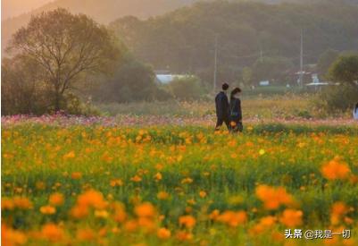 15句超级文艺的韩文温柔仙句，句句走心，精辟