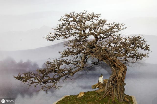 经典名句分享 修身