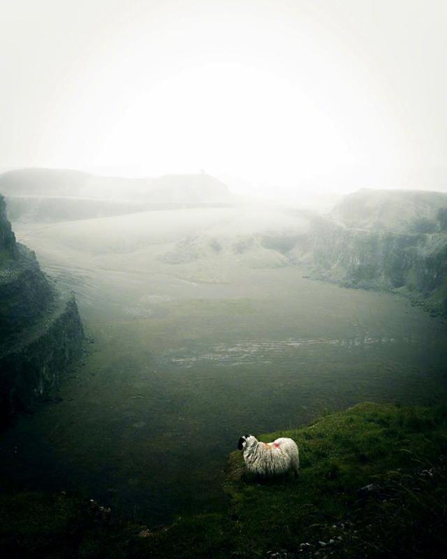最近朋友圈很火的人生感悟语录，句句精辟在理，令人拍案叫绝