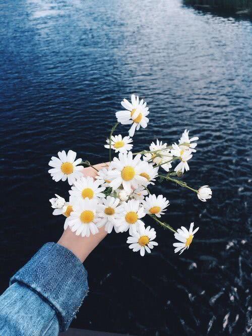 简短励志的唯美语录，精辟霸气，发朋友圈超赞