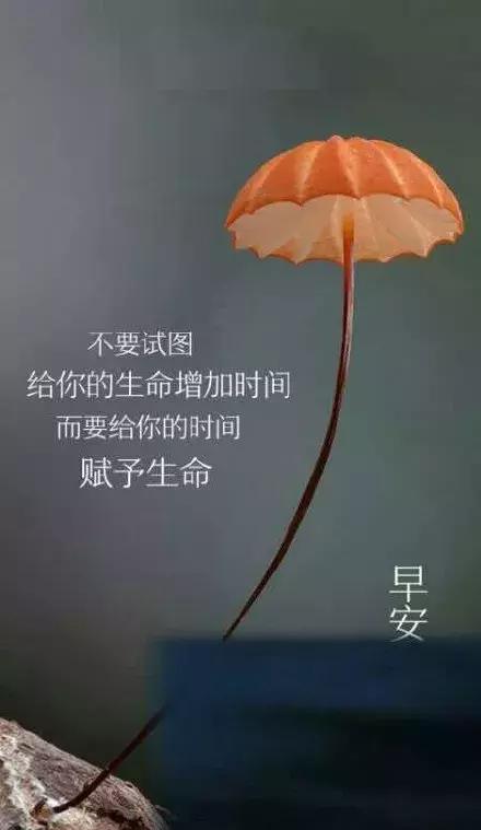 最经典人生感悟哲理语句(一段很现实的话)