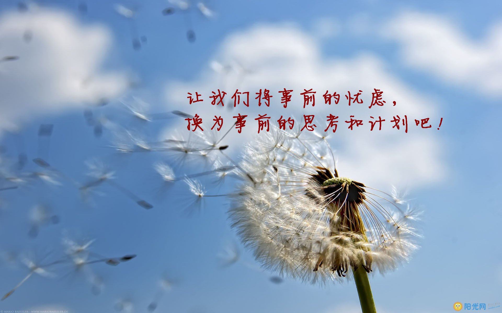 奋斗名言名句优美句子(创新名言名句优美句子)