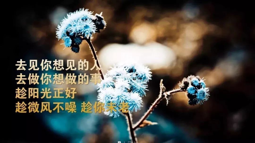 自己压抑心累的古文(心里憋屈难受的诗句)
