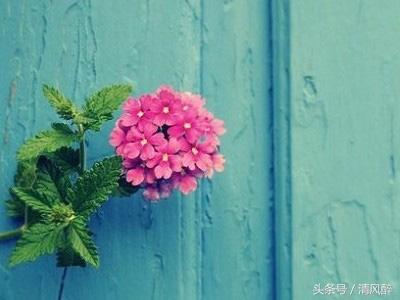 发朋友圈的经典唯美伤情说说精选！