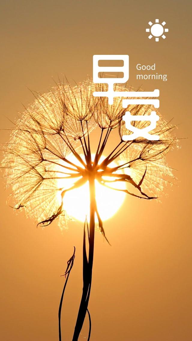 「2021.06.18」早安心语，正能量走心语录句子很好看的早上好图片