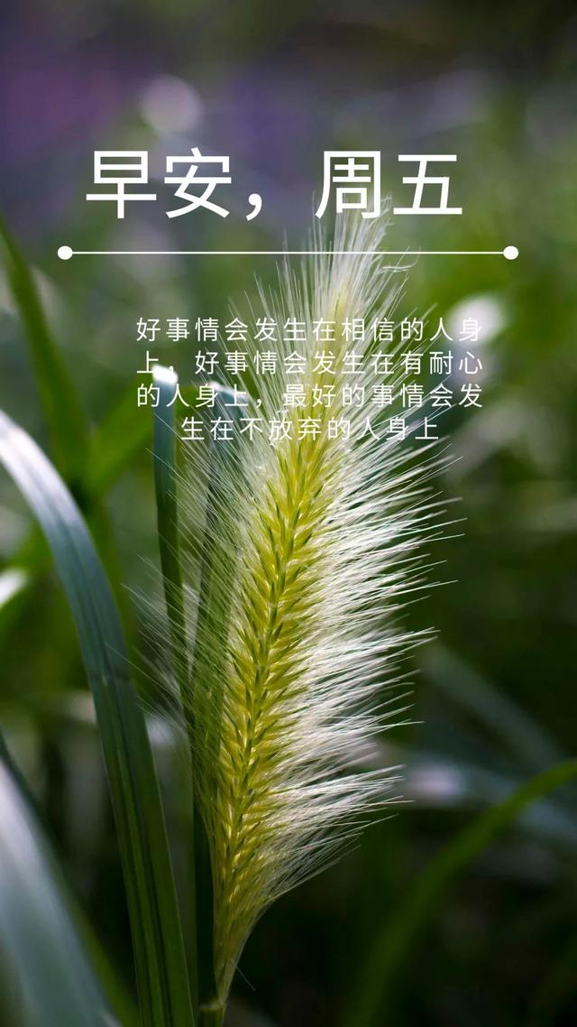 「2021.06.18」早安心语，正能量走心语录句子很好看的早上好图片