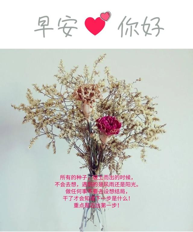 「2021.06.18」早安心语，正能量走心语录句子很好看的早上好图片