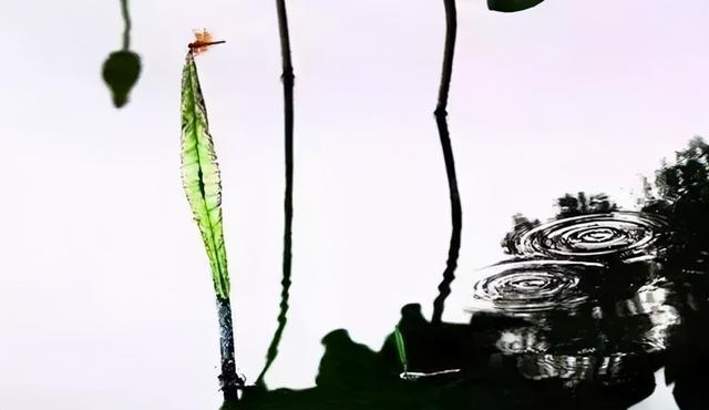 「2021.06.18」早安心语，正能量走心语录句子很好看的早上好图片