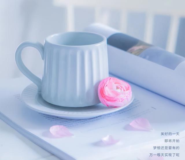 「2021.06.18」早安心语，正能量走心语录句子很好看的早上好图片