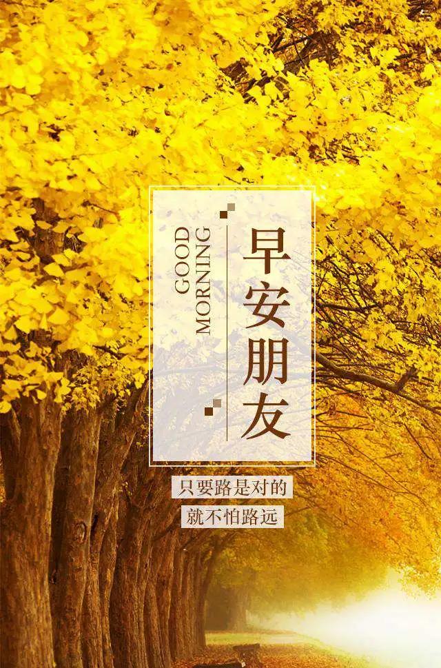 「2021.06.18」早安心语，正能量走心语录句子很好看的早上好图片