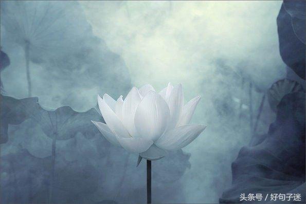 禅语感悟人生的段子，句句大实话，让你少走弯路！