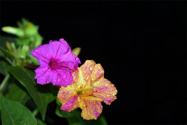 个性经典短句大全