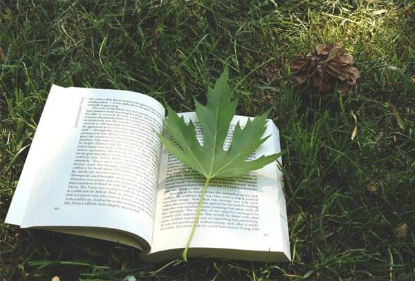 人生职场感悟经典句子，句句说到位，不看是你的损失