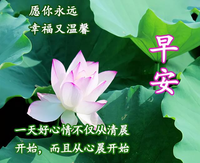 2021特别漂亮的早上好图片，每日最新早安图片