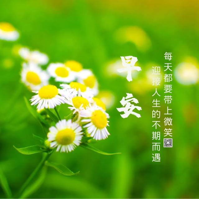 2021特别漂亮的早上好图片，每日最新早安图片