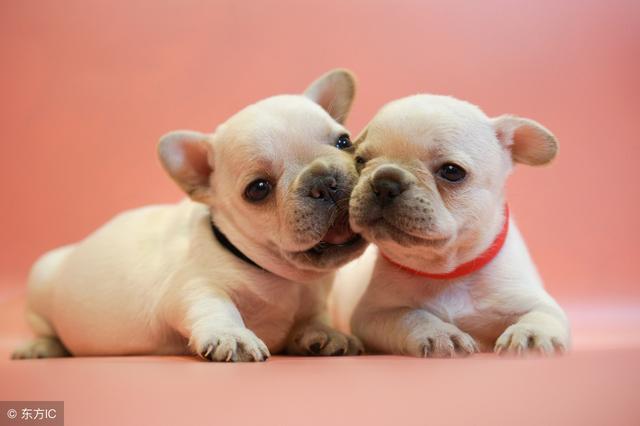 幽默有哲理的段子，句句经典有内涵，心情不好请进