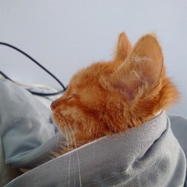 致自己的人生感悟句子，精辟走心，第一时间收藏！