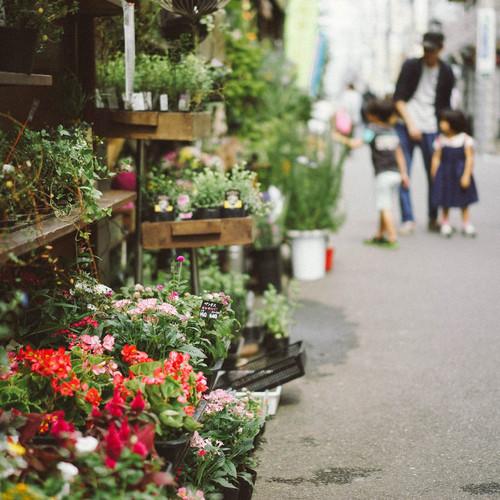 看过十句话，还是平淡最真