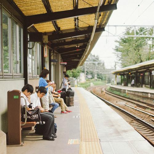 看过十句话，还是平淡最真