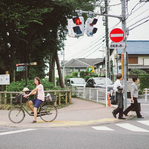 看过十句话，还是平淡最真