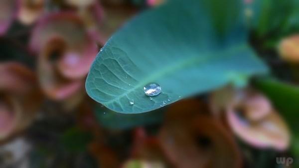 早安心语简单一句话，总有一句适合你！