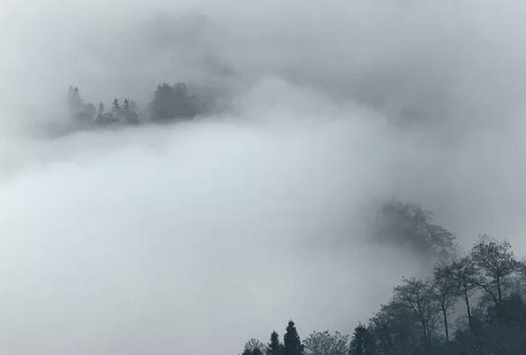 诗词丨这120首经典古诗词，你只知一句，却不知全文