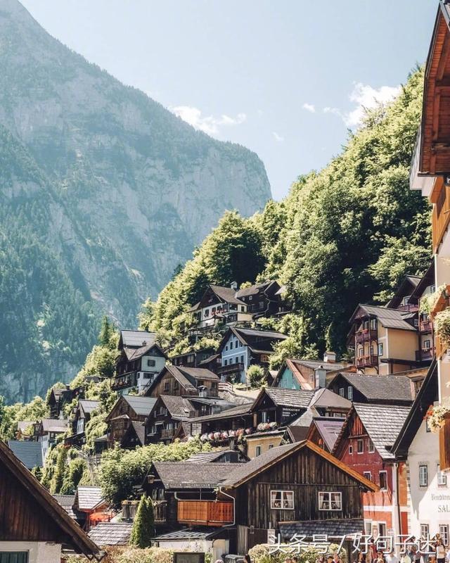 卢思浩经典语录励志句子，最近很火很流行！