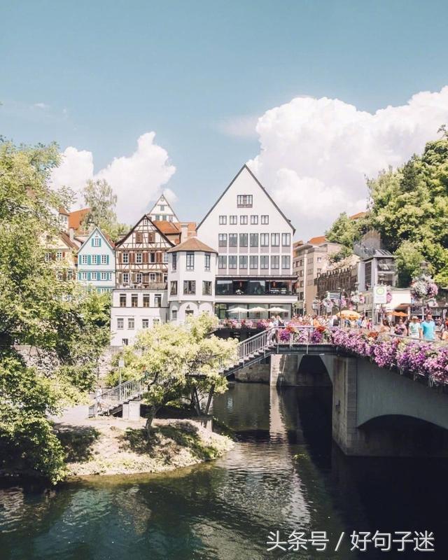 卢思浩经典语录励志句子，最近很火很流行！