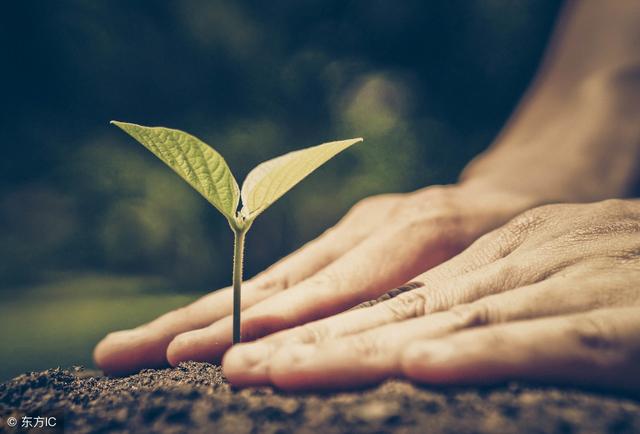 2019涂磊霸气经典语录，精辟噎人却句句在理！