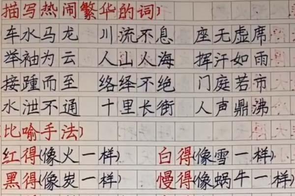 三年级学霸日常词语摘抄，字迹规整，家长传阅的焦点，老师盛赞