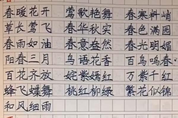 三年级学霸日常词语摘抄，字迹规整，家长传阅的焦点，老师盛赞