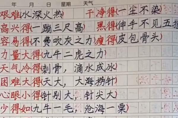 三年级学霸日常词语摘抄，字迹规整，家长传阅的焦点，老师盛赞