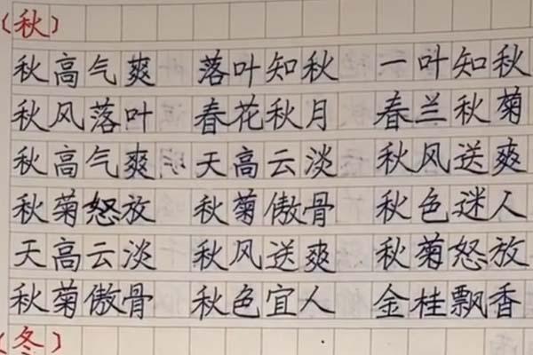 三年级学霸日常词语摘抄，字迹规整，家长传阅的焦点，老师盛赞