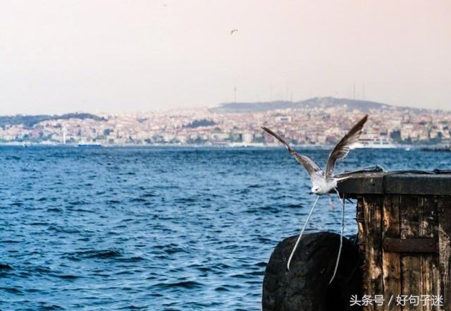 致自己人生感悟的句子