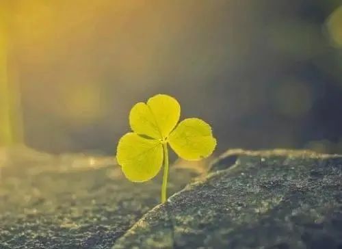 句句精辟的励志句子_(2020最精辟最火句子)