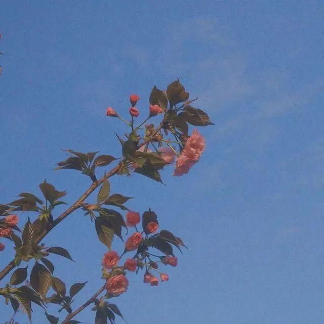 值得摘抄的惊艳书摘