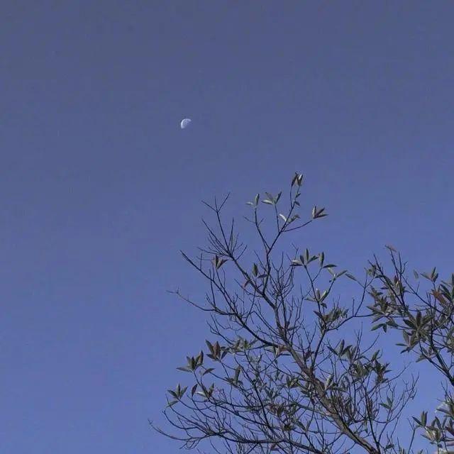 值得摘抄的惊艳书摘