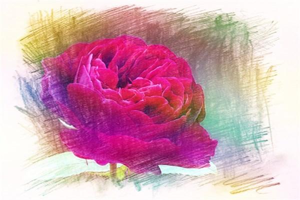 最近比较火的20个心情句子，简短现实，挑一句发朋友圈吧