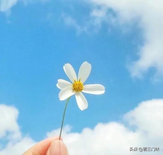 2021最美早安句子，干净走心，越看越喜欢