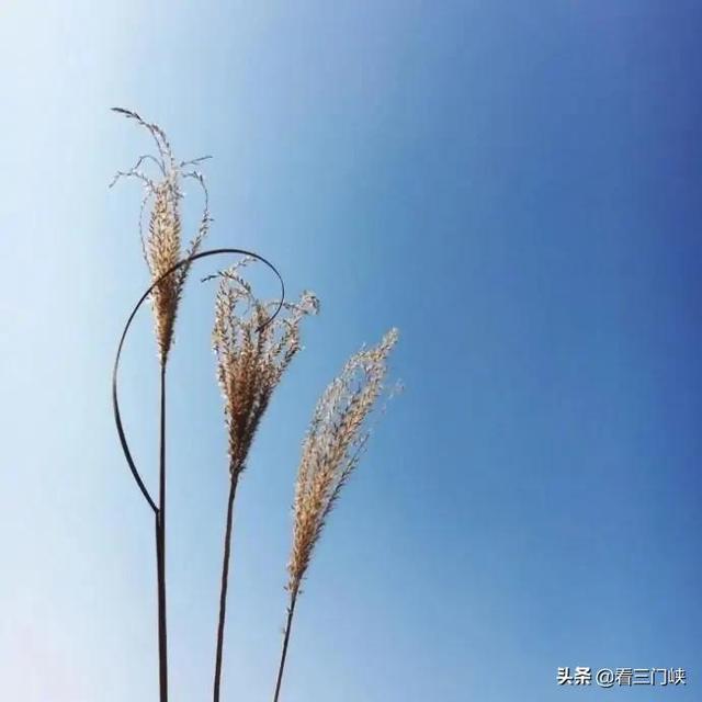 2021最美早安句子，干净走心，越看越喜欢