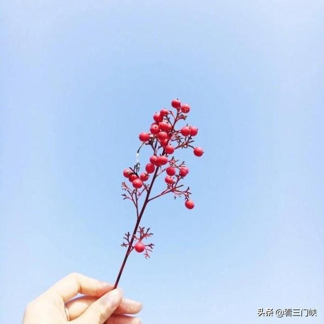 2021最美早安句子，干净走心，越看越喜欢