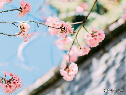 内心一阵绞痛的说说