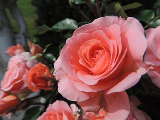 经典话语适合发朋友圈